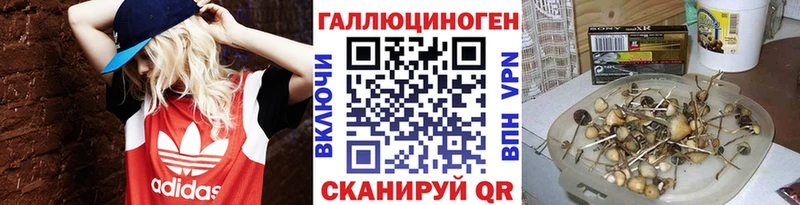 Галлюциногенные грибы Psilocybine cubensis  Суздаль 