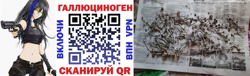 Псилоцибиновые грибы Magic Shrooms Суздаль